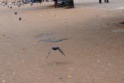 DSC_0645 (Large).JPG